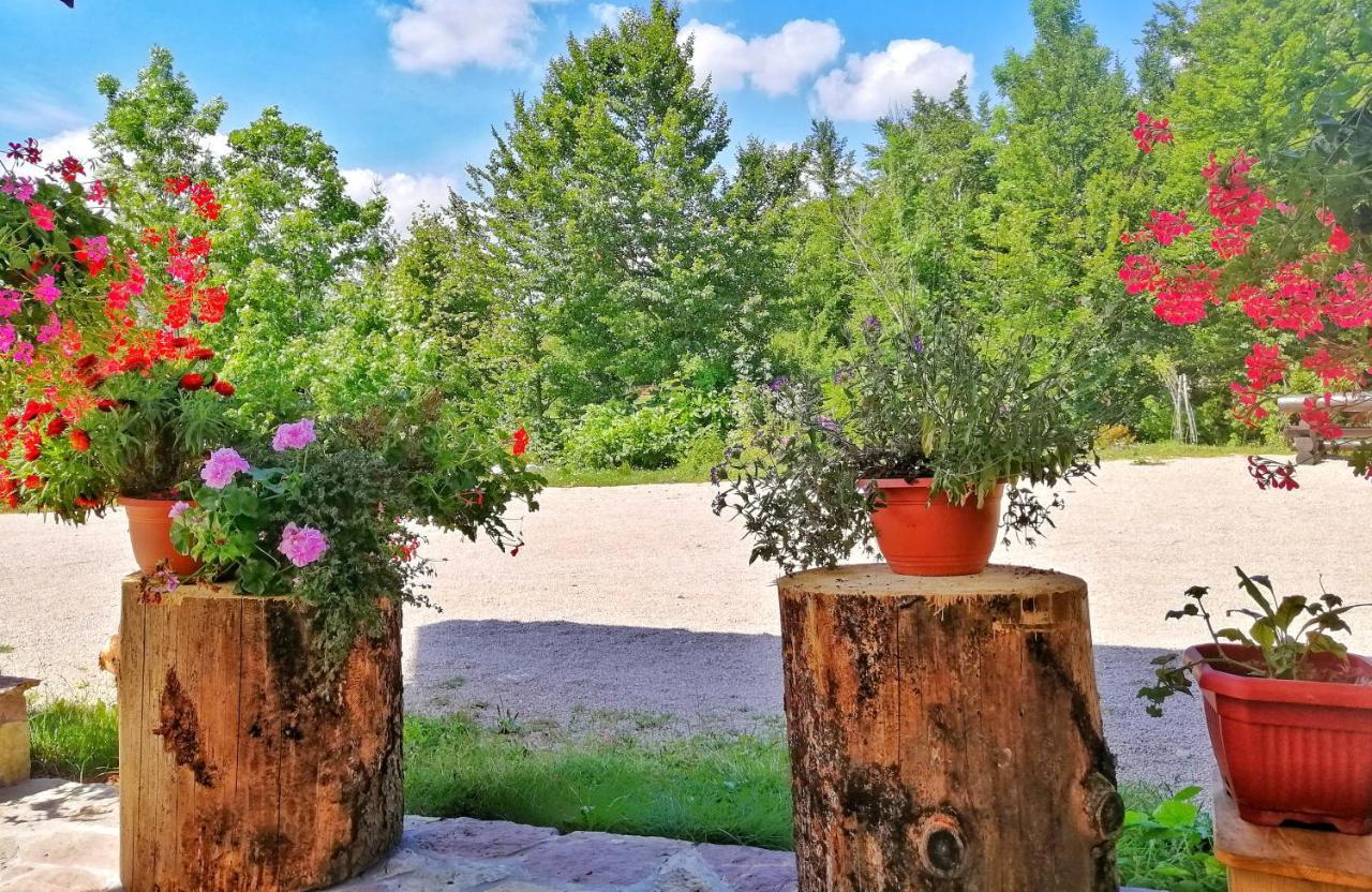 Отель House Angie Езерца Экстерьер фото